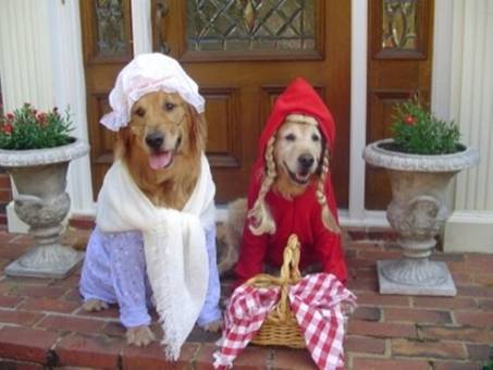 Red Riding Hood picture