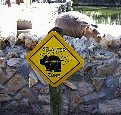 Hippo Sign picture