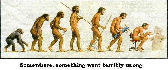 Human Evolution picture