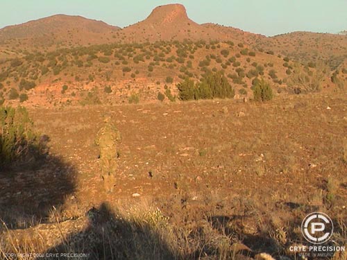 Multicam Camouflage picture