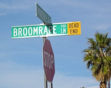 Broomrape Lane picture