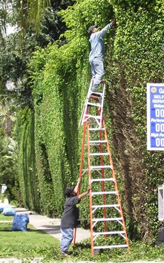 Ladder Stacking picture