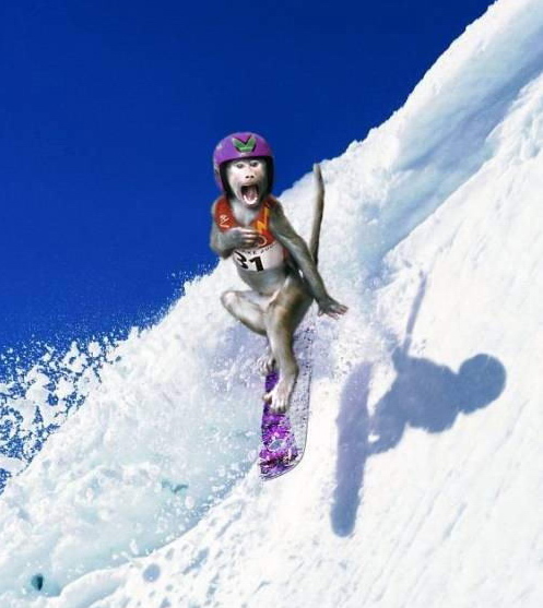 Strange Snowboarder picture