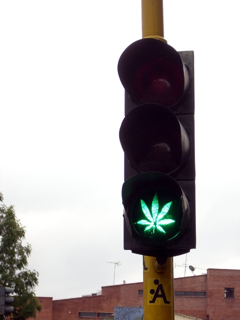 Marijuana Light picture