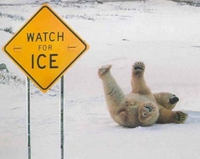 Watch For Ice picture