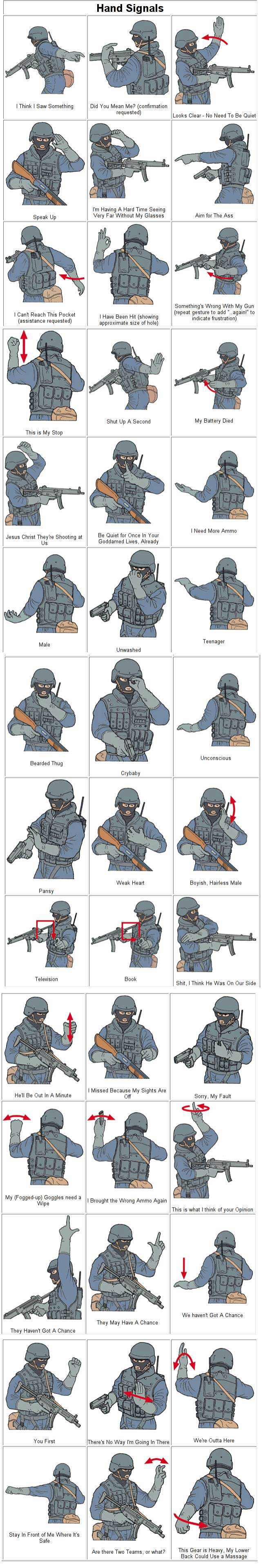 Hand Signals picture