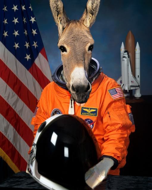 Donkey Asstronaut picture