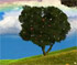 Seasons