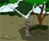 The edge of the forest