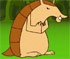 Tito The Armadillo