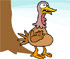 Turkeys Last Day