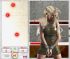 timed bubble breaking undressing game