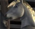 3d furry porn animation