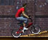 bmx master game