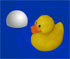 duck puzzle game