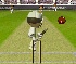 Flash Cricket 2