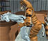 unicorn and cheetah having sex