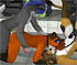 horny furries enjoy gangbang sex