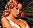 is is Pop Star or Porn Star on a given picture