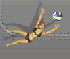 ragdoll volleyball