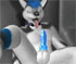 3D furry sex animation