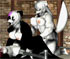 horny skunks fuck like rabbits