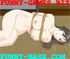 flash game for adults with erotic animation