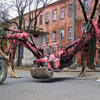 It looks rather like spider tractor