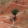 there is a tree in the middle of playing field