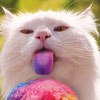 cat with rainbow tongue