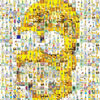 Homer's face created from simpsons pictures
