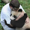 human apologizes to panda