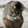 damn, I cant solve the Rubiks Cube
