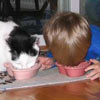 kid shares his dinner with his pet