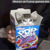 Cute images kitty in a tatrs box