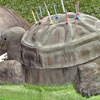 this cake was made specially for turtle birthday