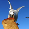 seagull eating toast from a hand