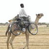 in case the camel breaks use the bicycle