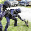 SWAT team is having trouble with small cat