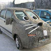 I am sure all cats will love this car