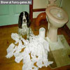 Funny dog pictures in case i had a diarrhoea after that disgusting din