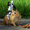 brave robot fighter on his squirrel