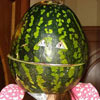 fun with a water melon