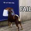 hungry dog tries to eat = fail!