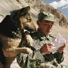 a soldier and his dog read letter from their loved ones