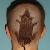 pic of funny hair cut