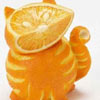 cat made of oranges