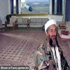 Funny pics of osama what you deserve