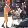 Funny jokes and pictures homeless in a peculiar costume