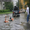 People having fun pics car surfing on flooded street